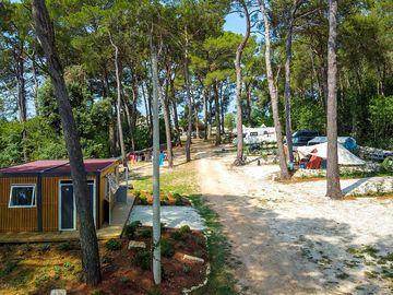 View of the site
