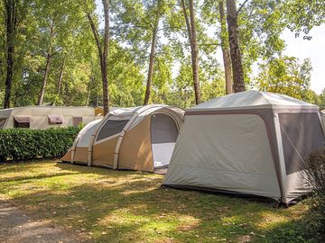 Pitches under the trees