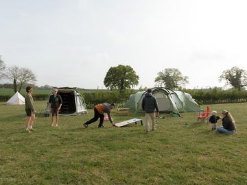 Grassy pitches with space to relax