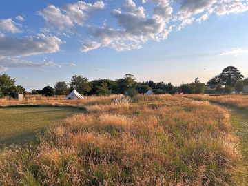The meadow.