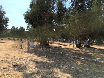 Grilling area