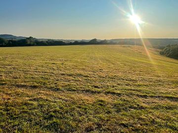 Evening sunshine on the meadow