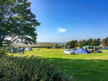 Visitor image of the level camping field