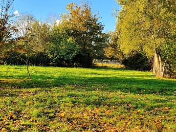View around the site