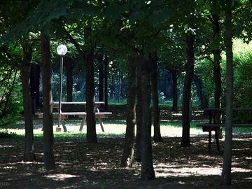 Around the site