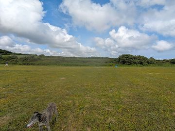 Level pitches with lots of space