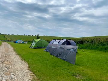 Tent pitches at Humble Bee