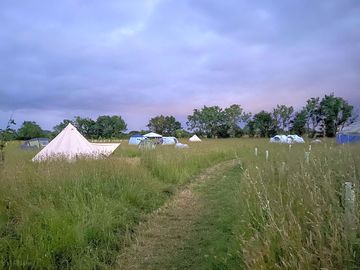 Camping meadow
