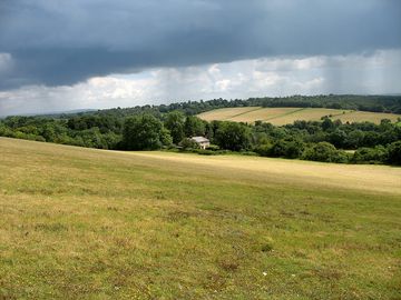 Surrey views