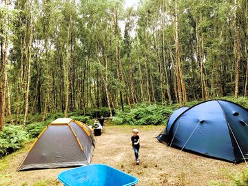 Tents pitch on a large double tent pitch