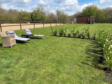 The garden