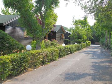 Paved road next to the cabins