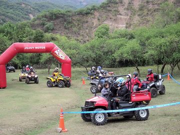 Activities on site