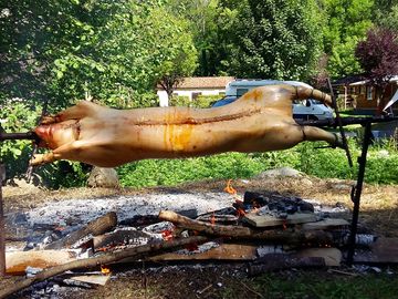 Hog roast