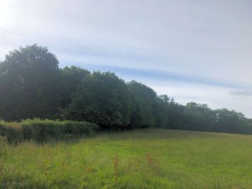 Grassy pitches