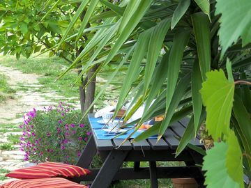 Picnic table in the garden