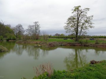 Tomo's lake: 18-peg