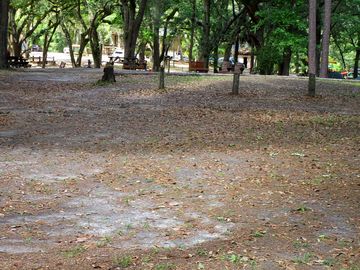 Tent area