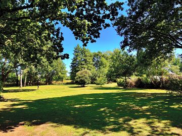 Summer view