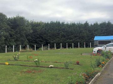 New planting to separate pitches