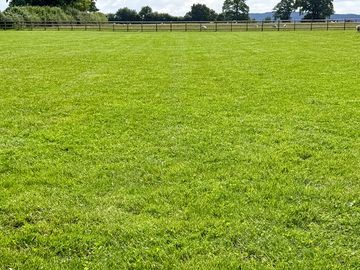 Non-electric grass pitches
