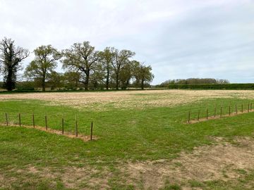 View of non-electric pitches from entrance