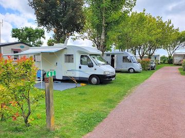 Tree-shaded pitches