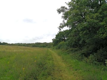 View along the nature trail