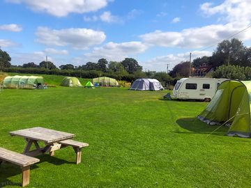 Level grass pitches.