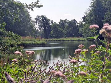 Lake photo