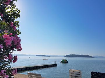 Views of the lake