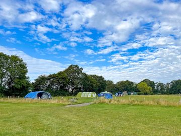 Visitor image of the generous level pitches