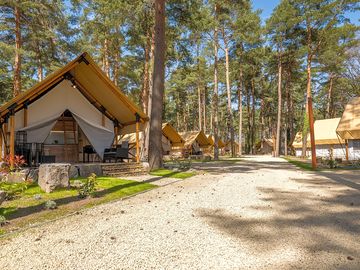 Papendaal safari tents
