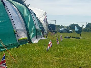 Grass pitches
