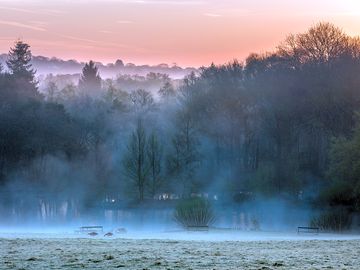 A misty morning