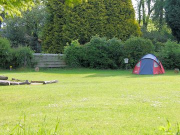 Looking across the site