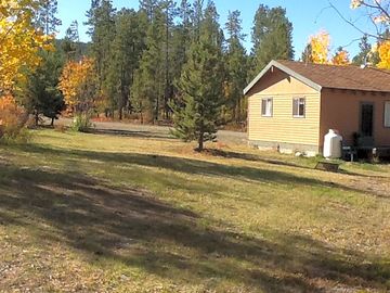 Open space around the cabin