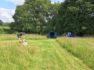 Pitches mown into the long grass