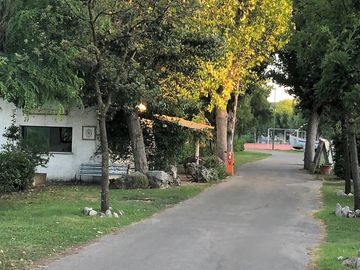 Around the site