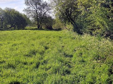 Stour footpath