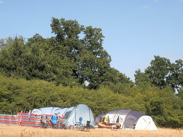 Trees behind the pitches