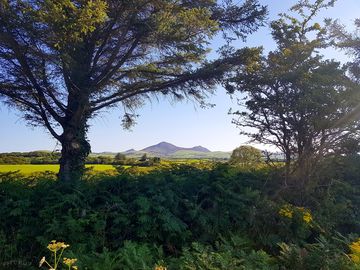 What a view to wake up to