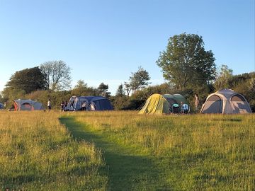 Well spaced pitches