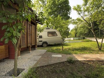 Pitches on site