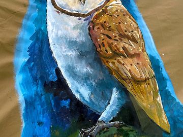 Owl tipi