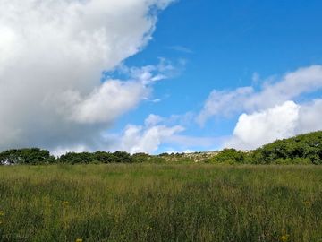 View up the field from the nature trail