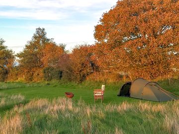 Camping pitch against a Pembrokeshire hedge