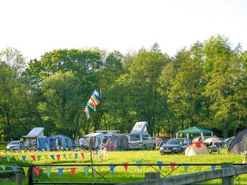 Pitches flanked by trees