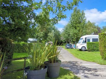 Beautiful pitches on site