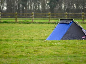 Grass tent pitches